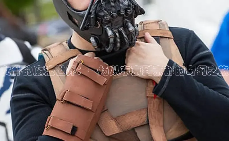 樱花漫画网页登录入口